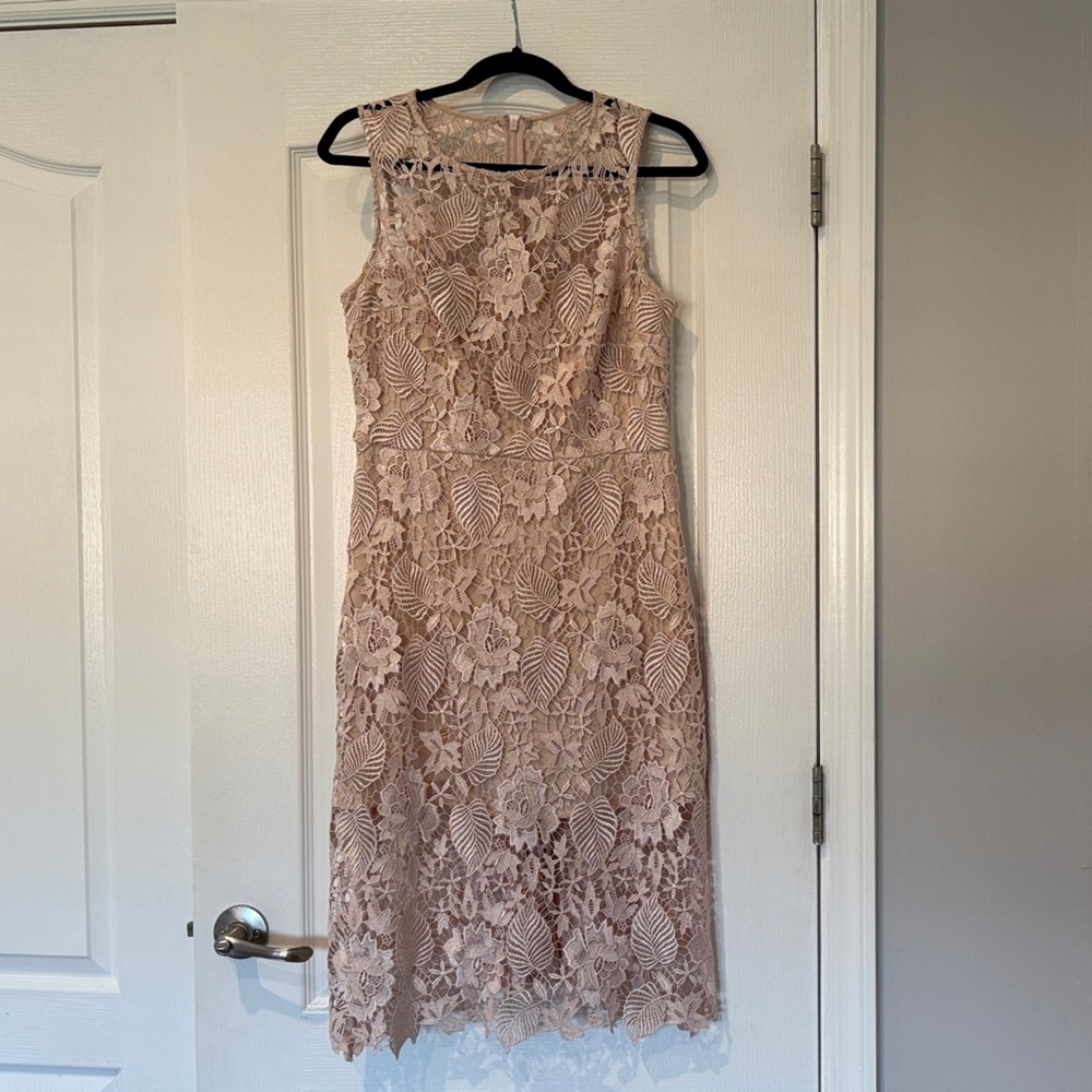 Julia Jordan Blush Lace Dress